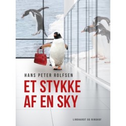 Et stykke af en sky