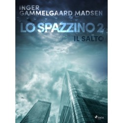Lo spazzino 2: Il salto