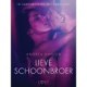Lieve schoonbroer - erotisch verhaal