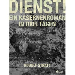 Dienst! Ein Kasernenroman in drei Tagen