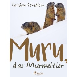 Murru, das Murmeltier