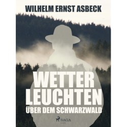 Wetterleuchten über dem Schwarzwald