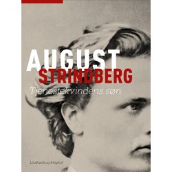 Tjenestekvindens søn