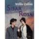 Sisar Rosa