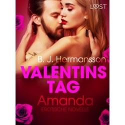Valentinstag: Amanda: Erotische Novelle