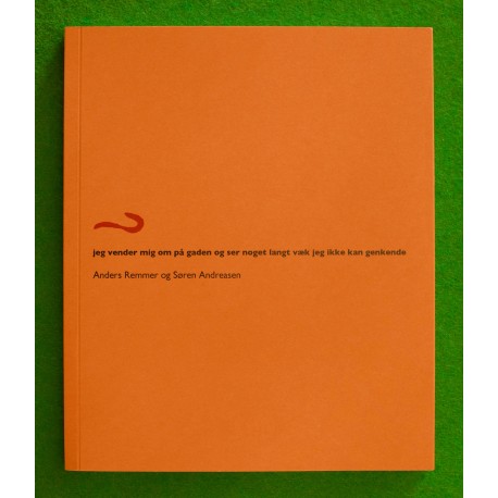 Jeg vender mig om på gaden og ser noget langt væk jeg ikke kan genkende