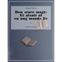 Den store magt: Et afsnit af en ung mands liv