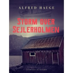 Storm over Sejlerholmen
