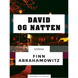 David og natten