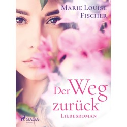 Der Weg zurück - Liebesroman