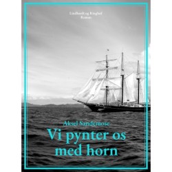 Vi pynter os med horn