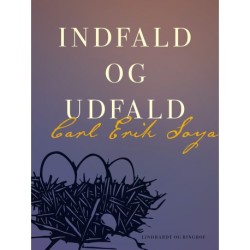 Indfald og udfald