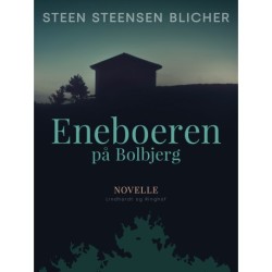 Eneboeren på Bolbjerg