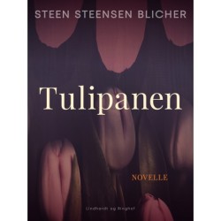 Tulipanen