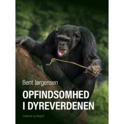 Opfindsomhed i dyreverdenen