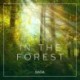 Ambience - In the Forest