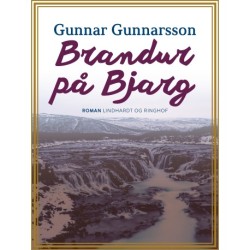 Brandur på Bjarg