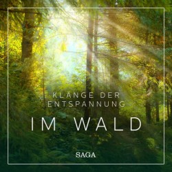 Klänge der Entspannung - Im Wald