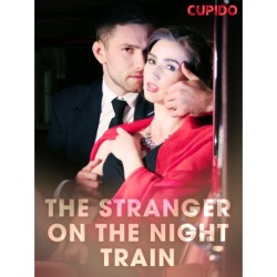 The Stranger on the Night Train