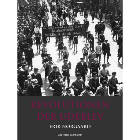 Revolutionen der udeblev