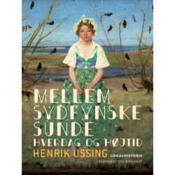 Mellem sydfynske sunde. Hverdag og højtid