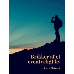 Brikker af et eventyrligt liv
