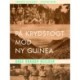 På krydstogt mod Ny Guinea