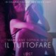 Il tuttofare - Letteratura erotica