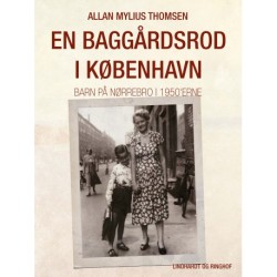 En baggårdsrod i København. Barn på Nørrebro i 1950 erne