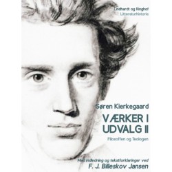 Værker i udvalg 2 - Filosoffen og Teologen