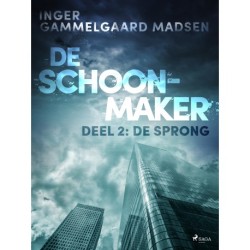 De Schoonmaker 2 - De sprong