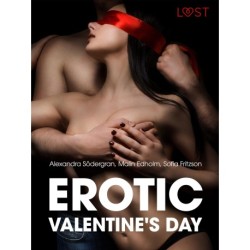 Erotic Valentine s Day - 5 erotische verhalen