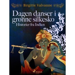 Dagen danser i grønne silkesko. Historier fra Indien