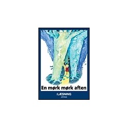 En mørk mørk aften