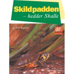 Skildpadden - hedder Skalle