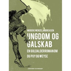 Ungdom og galskab. En guldalderroman om Du Puy og Weyse