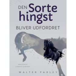 Den sorte hingst bliver udfordret