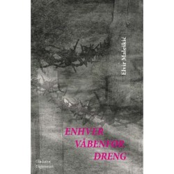 Enhver våbenfør dreng