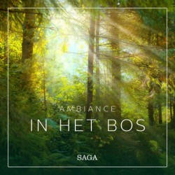 Ambiance – In het Bos