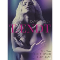 TÆNDT - Sex små fortællinger for voksne