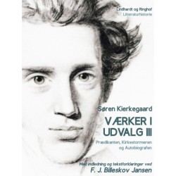 Værker i udvalg 3 - Prædikanten, Kirkestormeren og Autobiografen