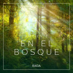 Ambiente - En el bosque