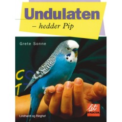 Undulaten - hedder Pip