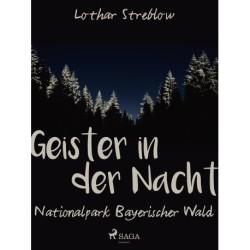 Geister in der Nacht. Nationalpark Bayerischer Wald