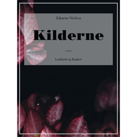 Kilderne