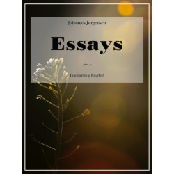 Essays