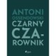 Czarny Czarownik