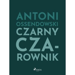 Czarny Czarownik