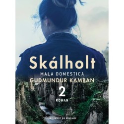 Skálholt 2