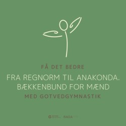 Få det bedre med Gotvedgymnastik. Fra regnorm til Anakonda. Bækkenbund for mænd
